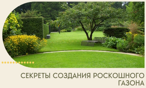 Секреты создания роскошного газона в Устях-Лабинске
